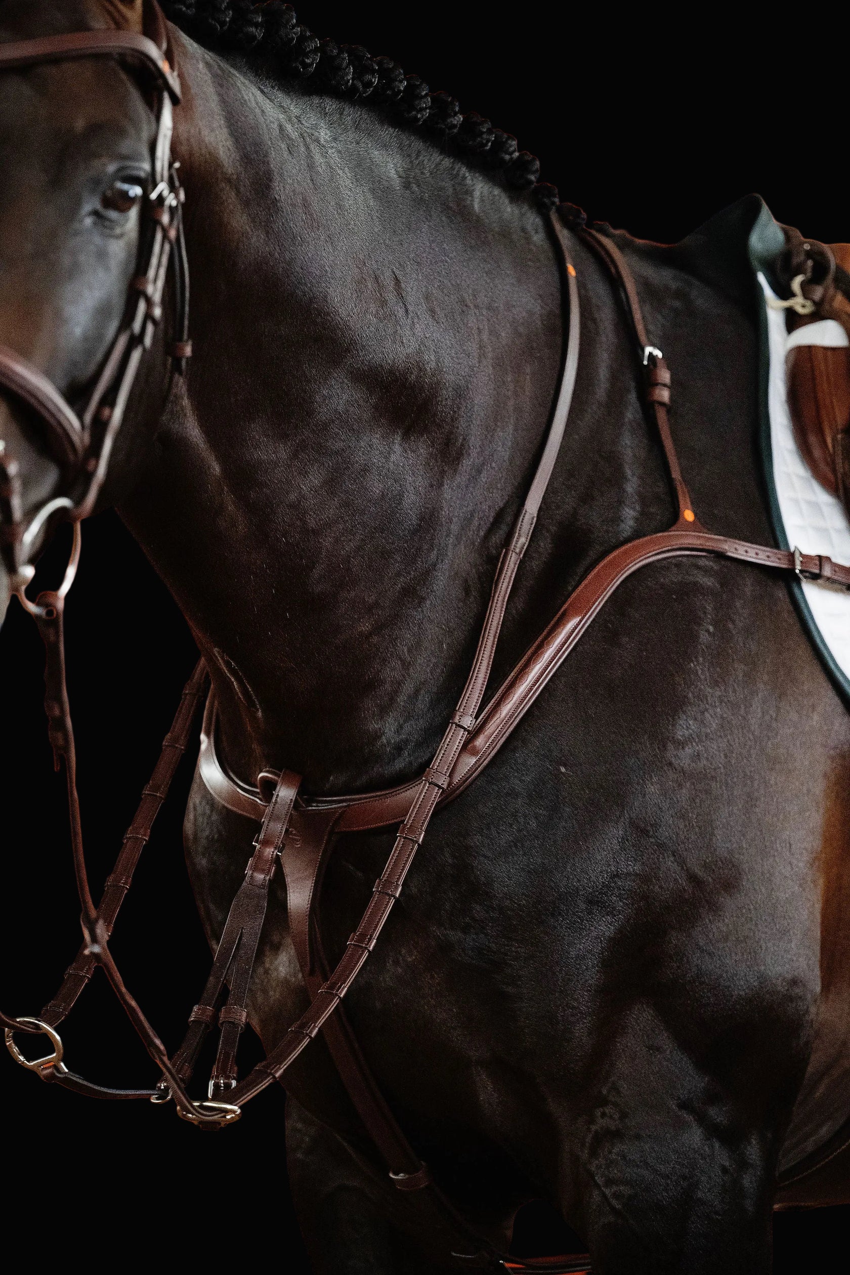 Martingales & Breastplates