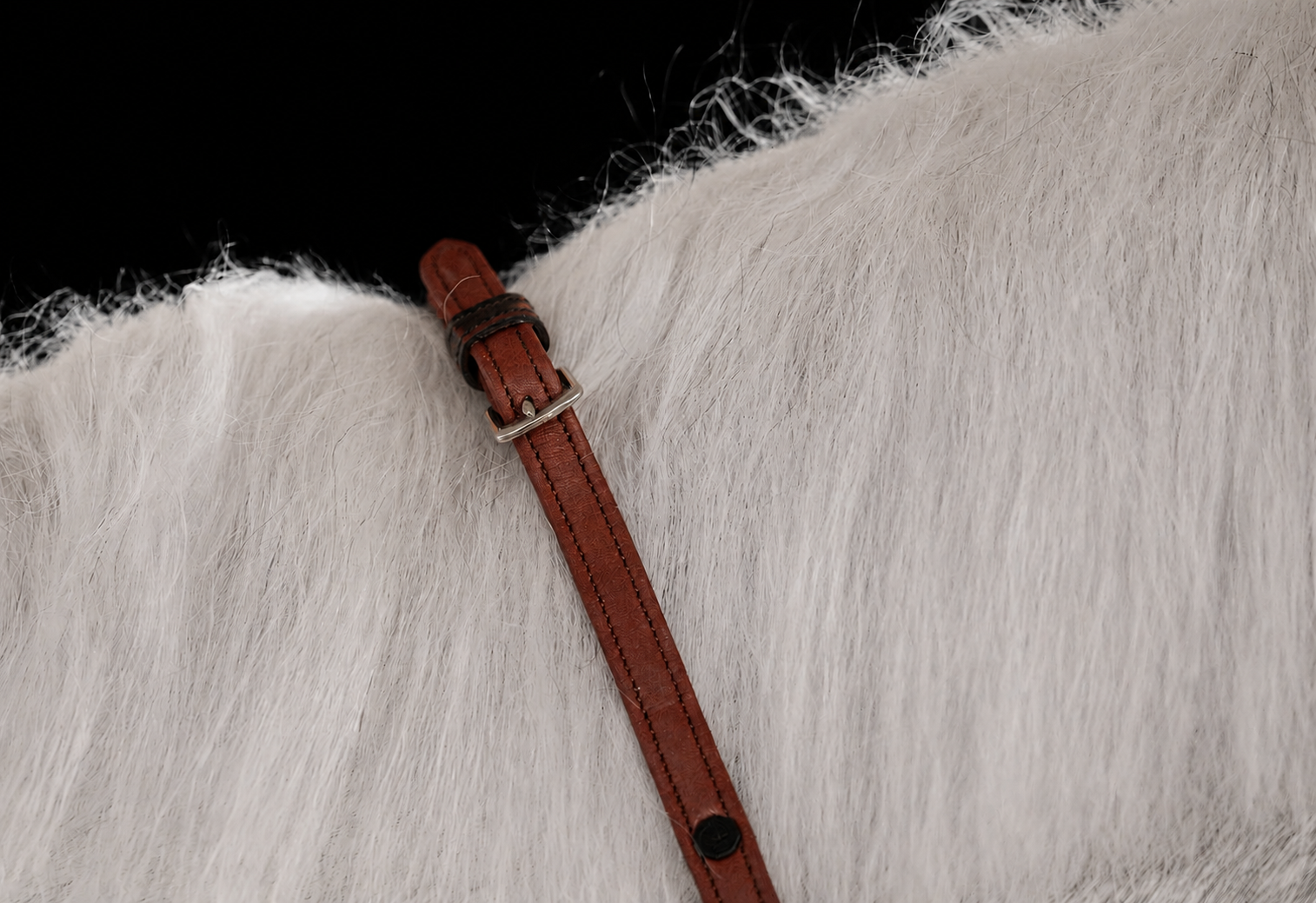 Reins
