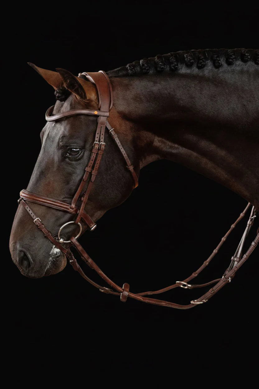 English Bridle - Brown | No. 04