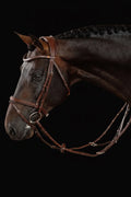 English Bridle - Brown | No. 04