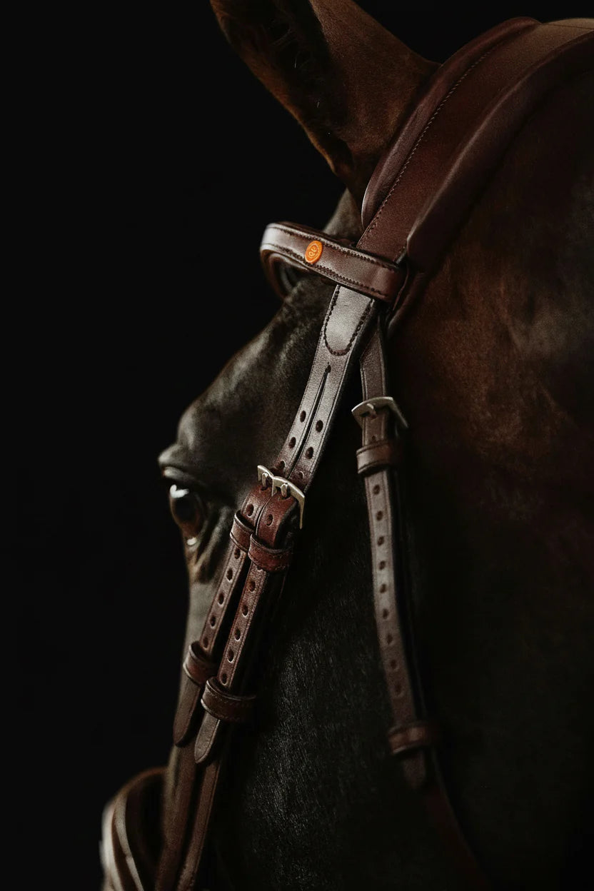 English Bridle - Brown | No. 04