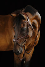 Mexican Bridle - Brown | No. 06