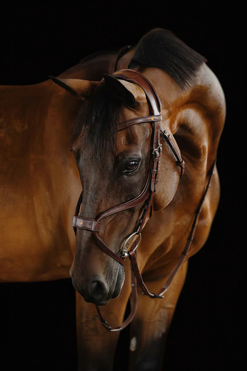 Mexican Bridle - Brown | No. 06