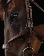 Mexican Bridle - Brown | No. 06