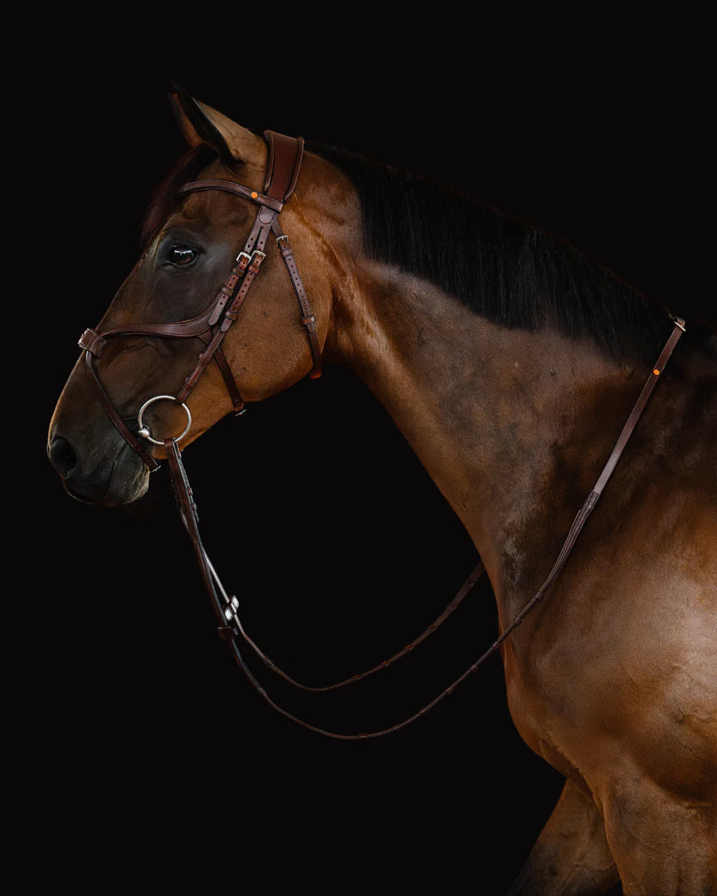 Mexican Bridle - Brown | No. 06