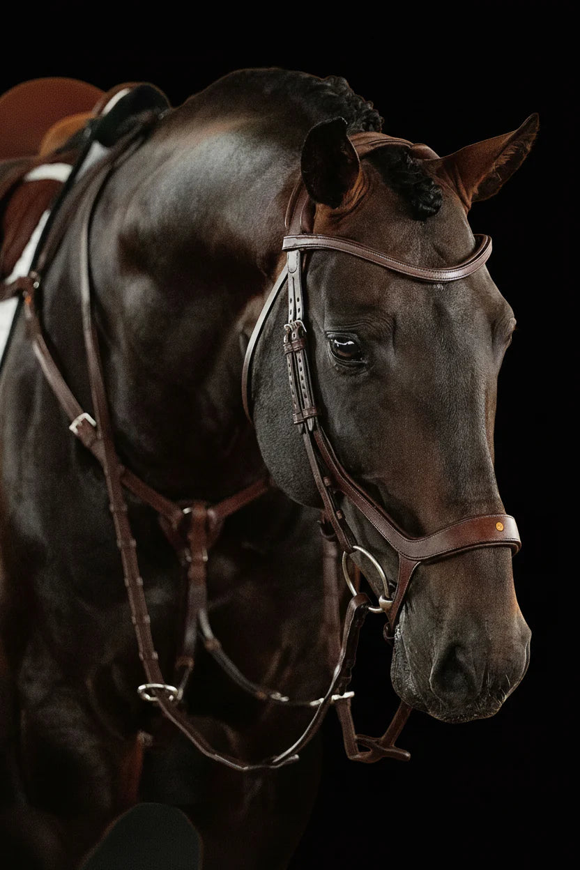 Remont (Drop) Bridle - Brown | No. 07