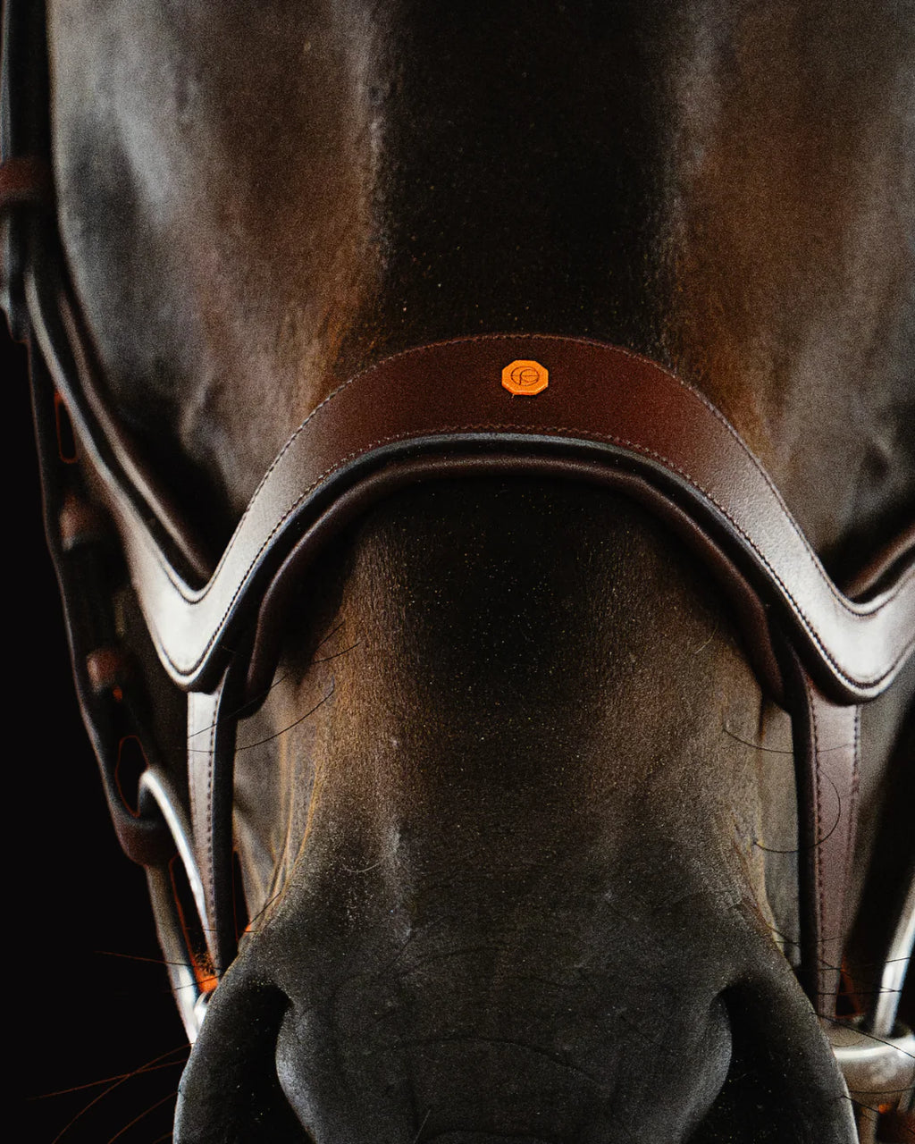 Remont (Drop) Bridle - Brown | No. 07