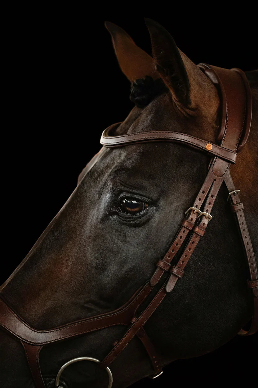 Remont (Drop) Bridle - Brown | No. 07