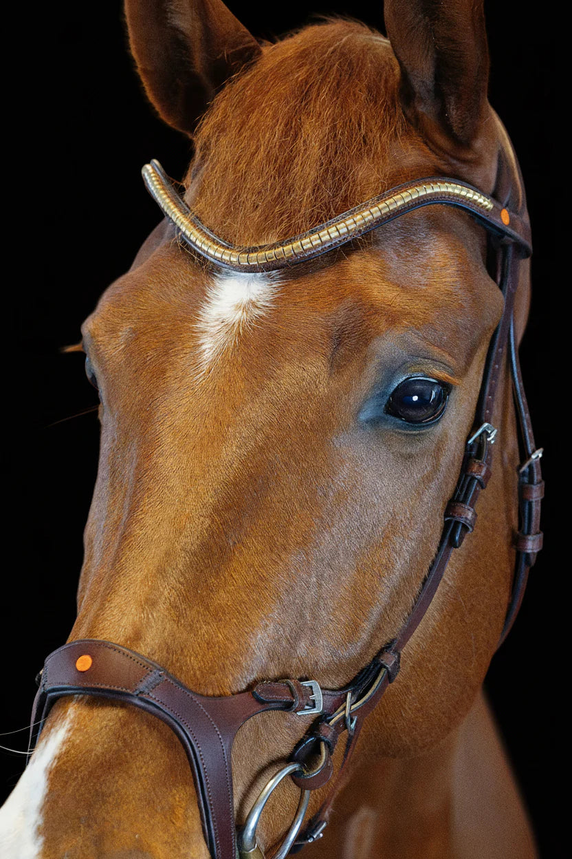 Combination Bridle – Brown | No. 08