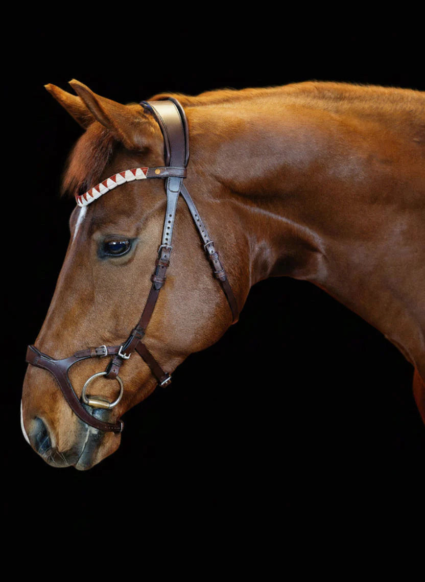 Combination Bridle – Brown | No. 08