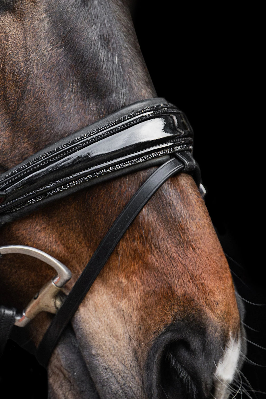 Bridle Rolled-Stitched – Patent Black Crystal | No. 100