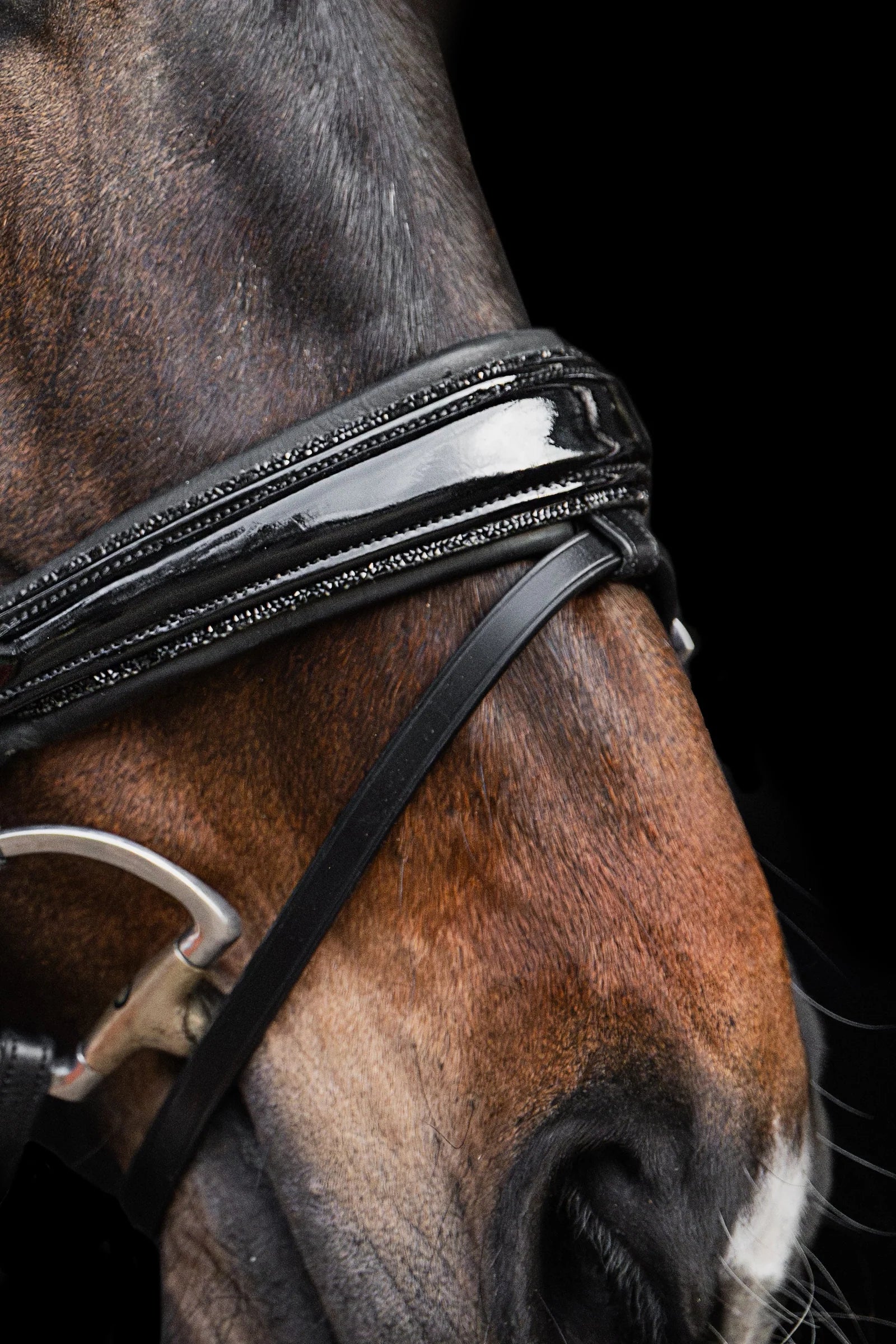 Bridle Rolled-Stitched – Patent Black Crystal | No. 100