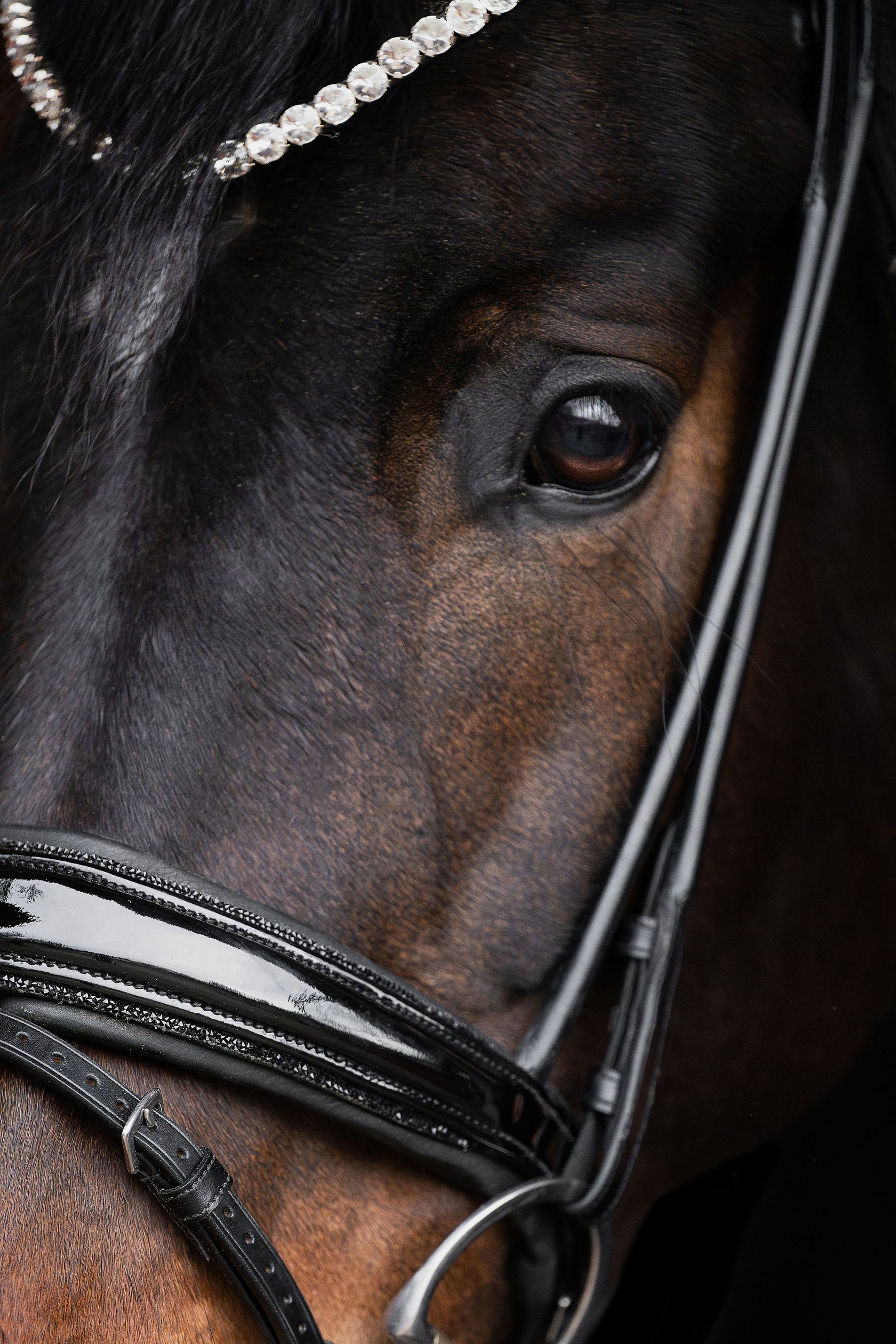 Bridle Rolled-Stitched – Patent Black Crystal | No. 100