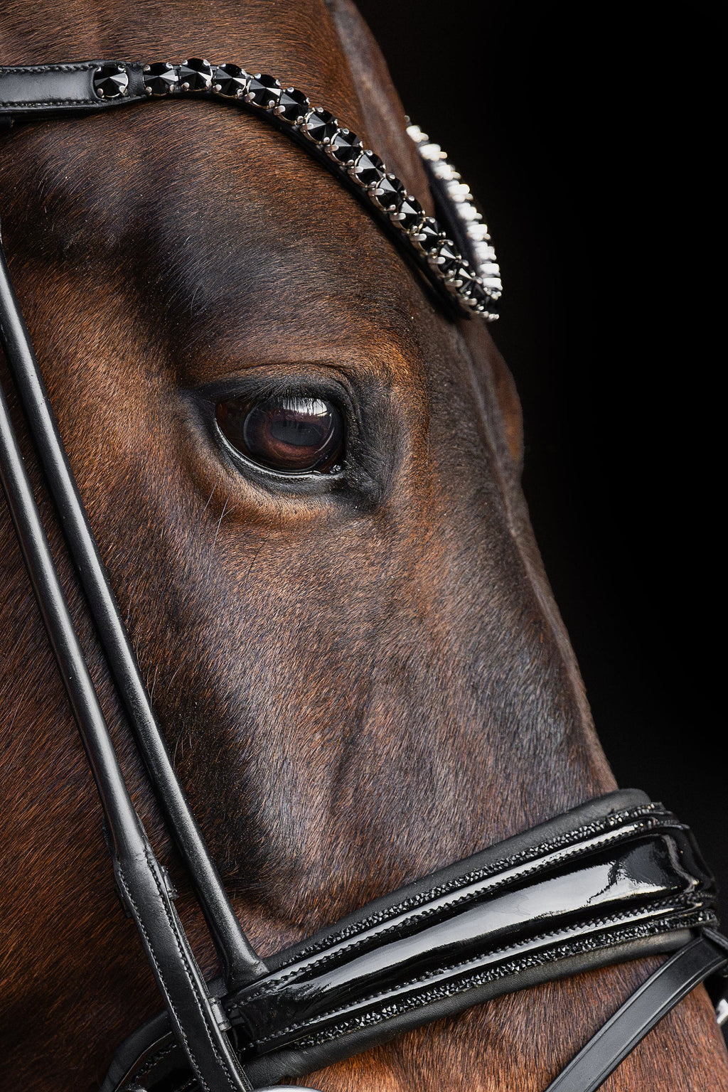 Bridle Rolled-Stitched – Patent Black Crystal | No. 100