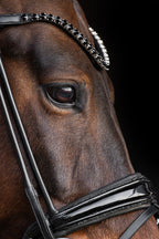 Bridle Rolled-Stitched – Patent Black Crystal | No. 100