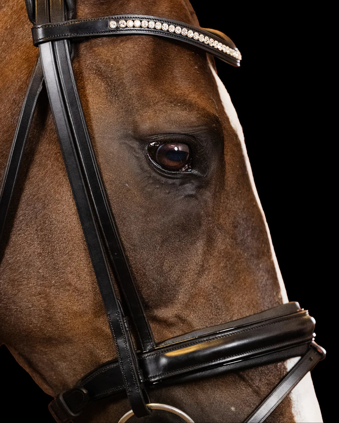 Bridle Flat – Matte Black | No. 101