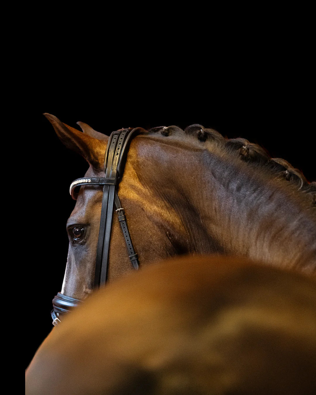 Bridle Flat – Matte Black | No. 101