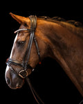 Bridle Flat – Matte Black | No. 101
