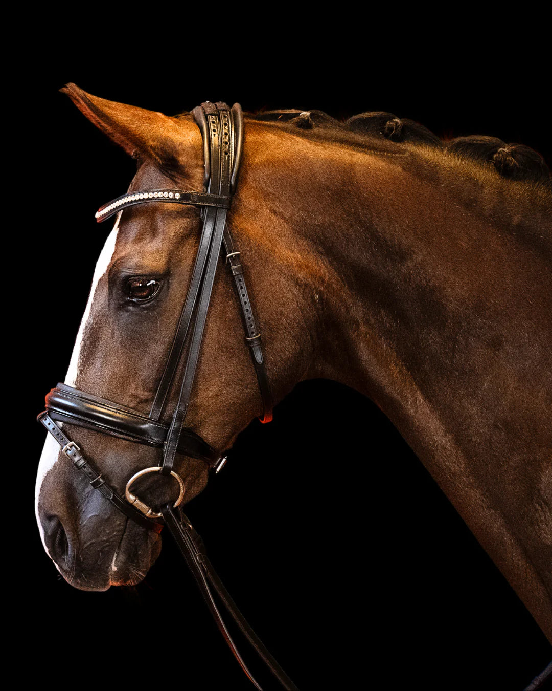 Bridle Flat – Matte Black | No. 101