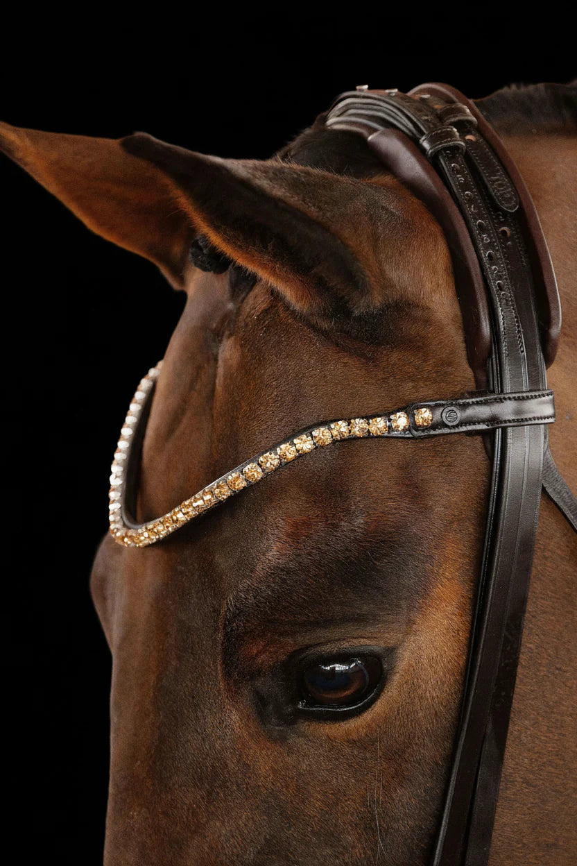Bridle Flat - Matte Brown | No. 101