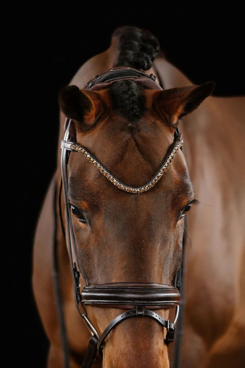 Bridle Flat - Matte Brown | No. 101