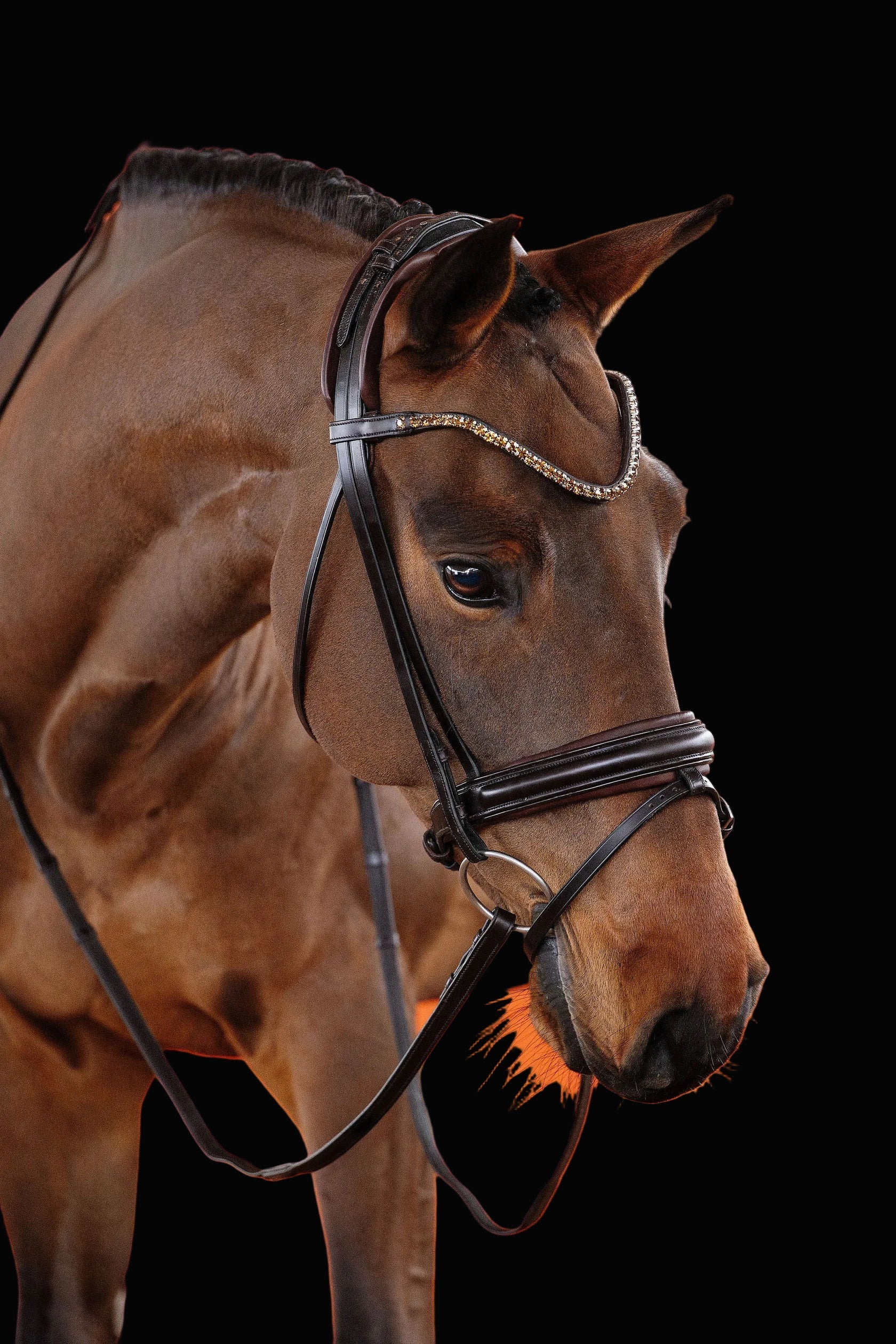 Bridle Flat - Matte Brown | No. 101