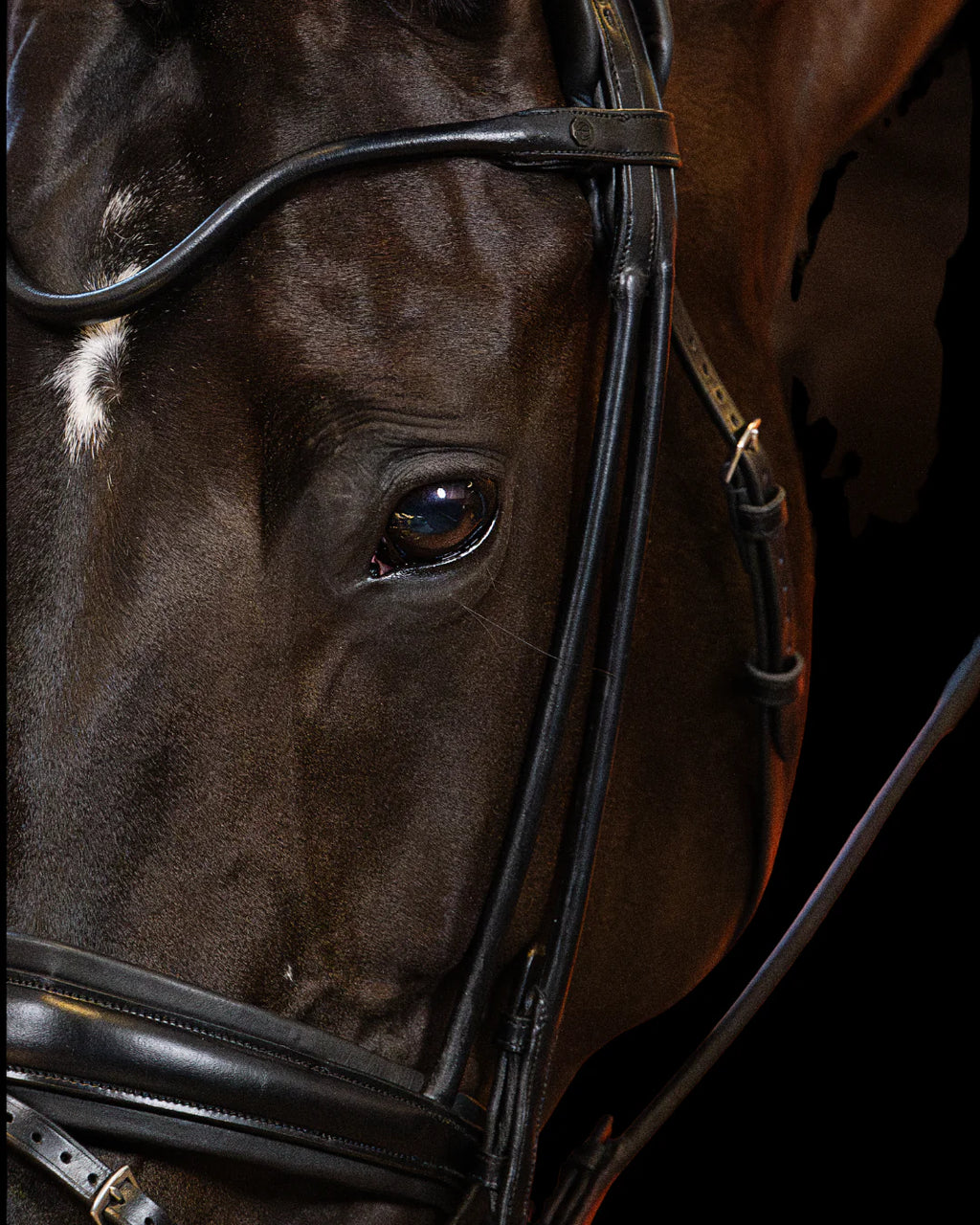 Bridle Rolled-Stitched - Matte Black | No. 102