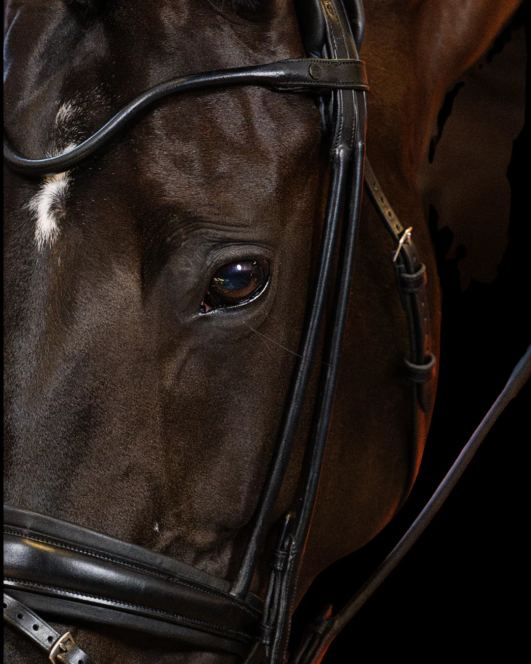 Bridle Rolled-Stitched - Matte Black | No. 102