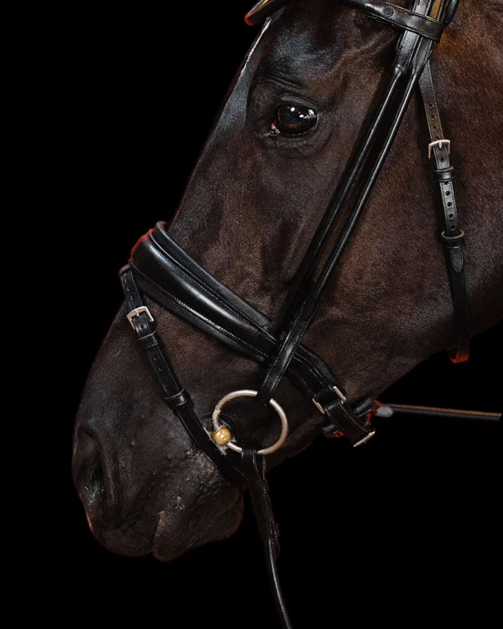 Bridle Rolled-Stitched - Matte Black | No. 102