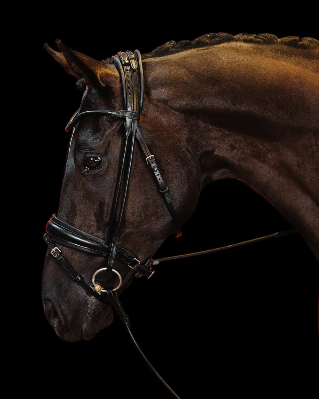 Bridle Rolled-Stitched - Matte Black | No. 102