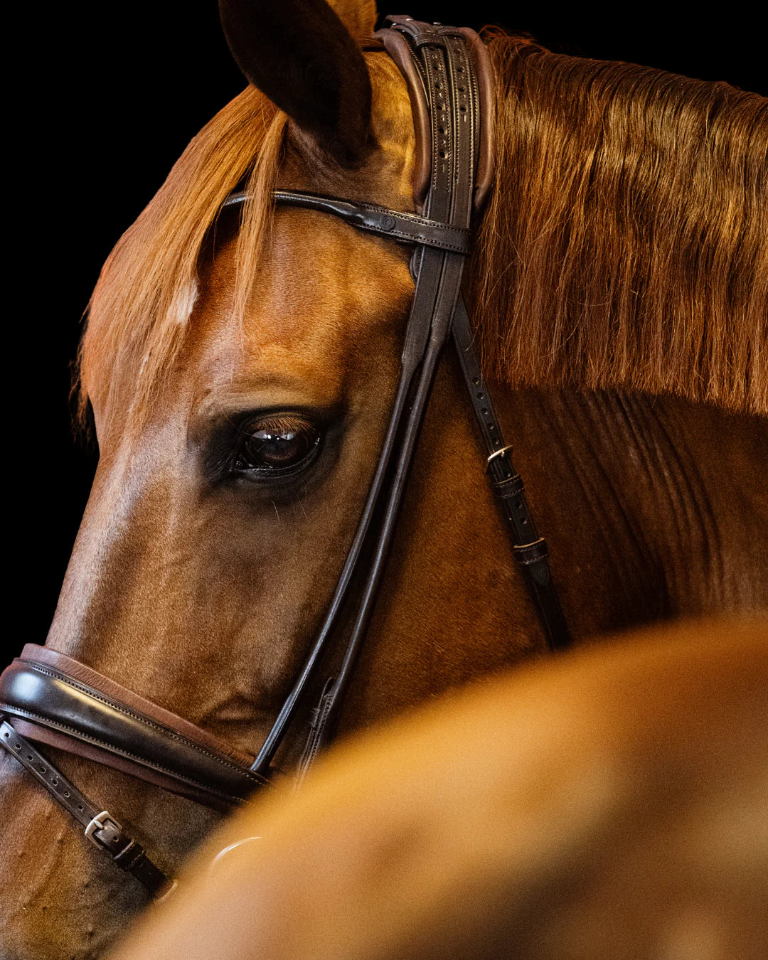 Bridle Rolled-Stitched – Matte Brown | No. 102