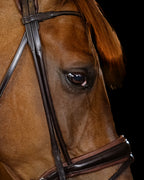 Bridle Rolled-Stitched – Matte Brown | No. 102