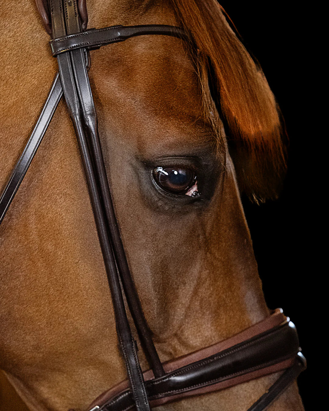 Bridle Rolled-Stitched – Matte Brown | No. 102
