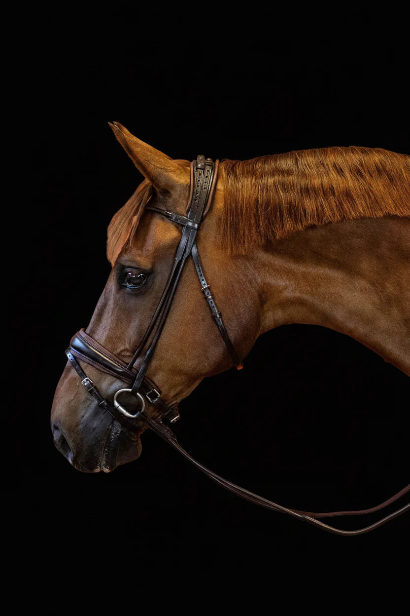 Bridle Rolled-Stitched – Matte Brown | No. 102