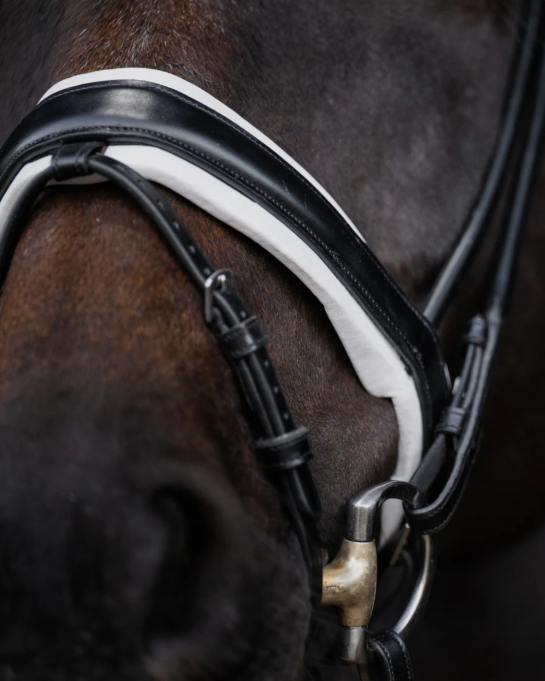 Bridle Rolled-Stitched - Matte Black - White Padding| No. 103