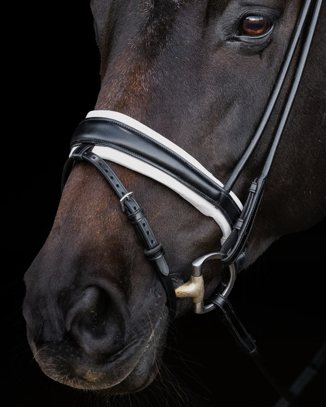 Bridle Rolled-Stitched - Matte Black - White Padding| No. 103