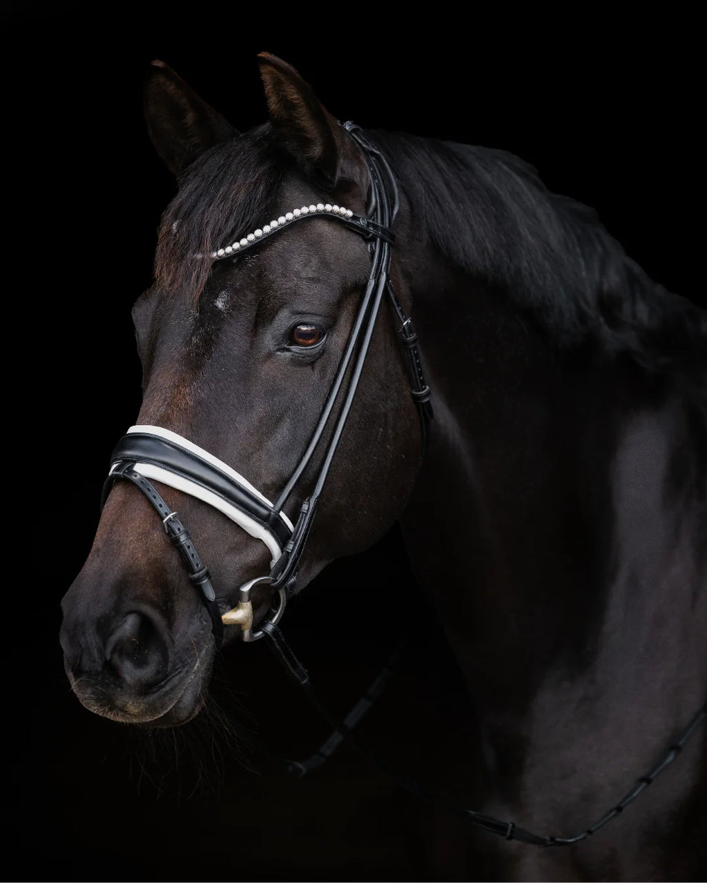 Bridle Rolled-Stitched - Matte Black - White Padding| No. 103