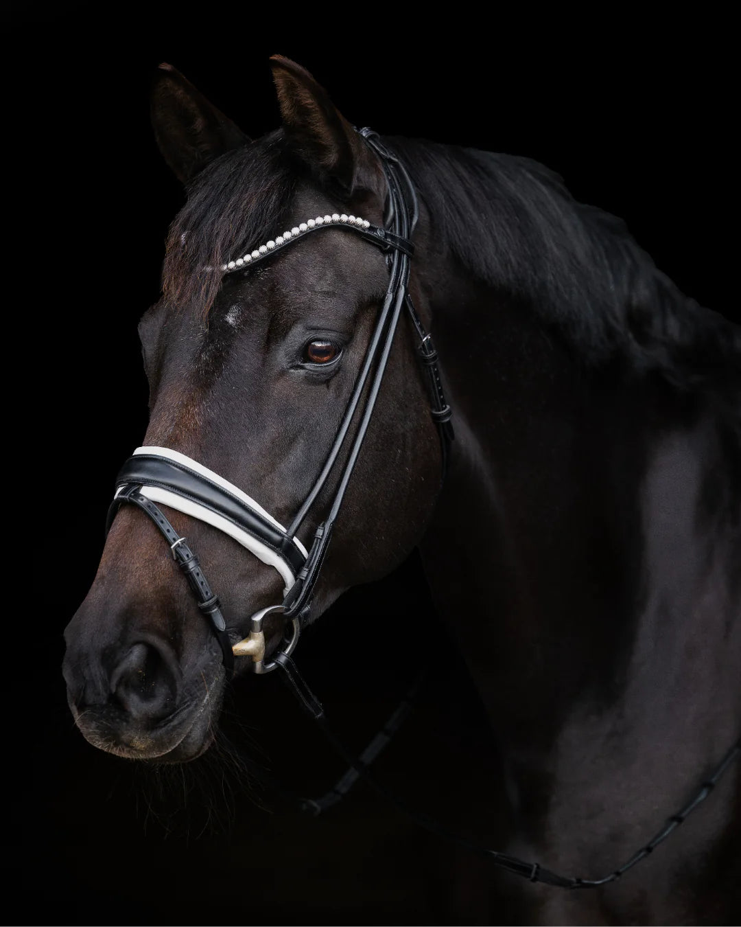 Bridle Rolled-Stitched - Matte Black - White Padding| No. 103