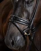 Bridle Rolled-Stitched – Patent Black | No. 104