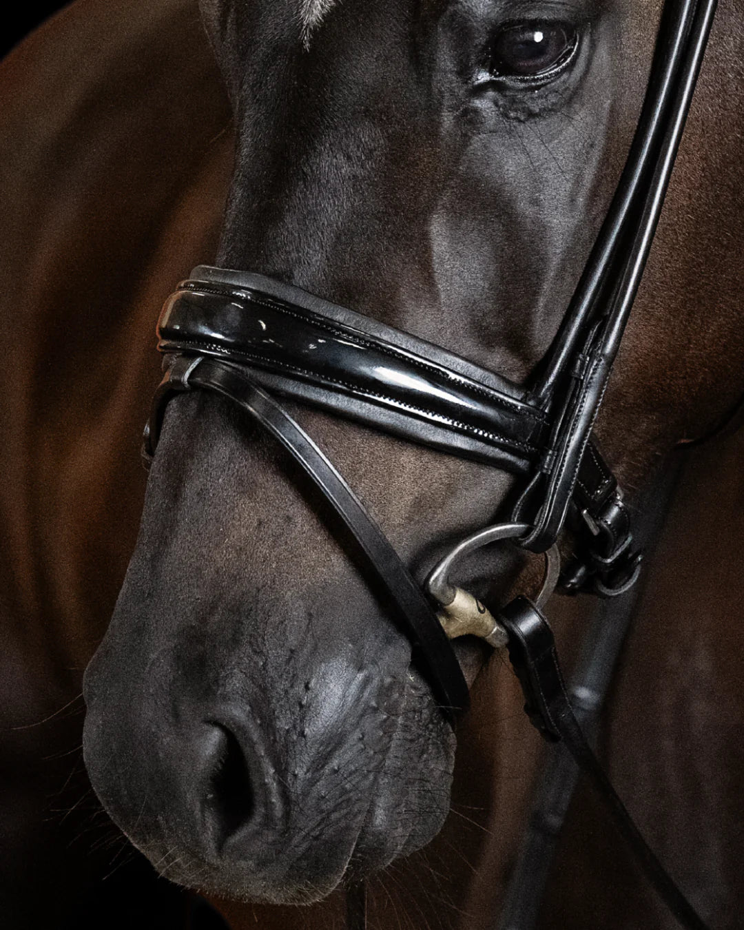 Bridle Rolled-Stitched – Patent Black | No. 104
