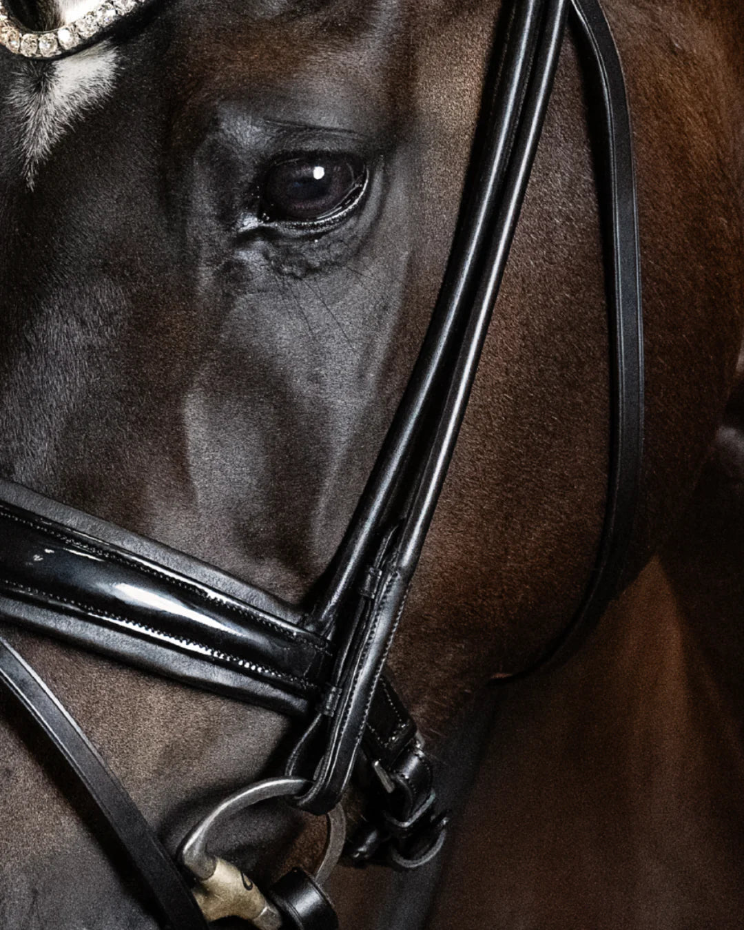 Bridle Rolled-Stitched – Patent Black | No. 104