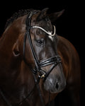 Bridle Rolled-Stitched – Patent Black | No. 104