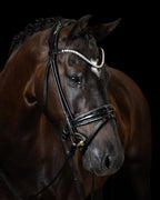 Bridle Rolled-Stitched – Patent Black | No. 104