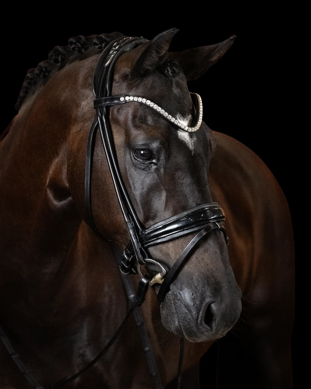 Bridle Rolled-Stitched – Patent Black | No. 104