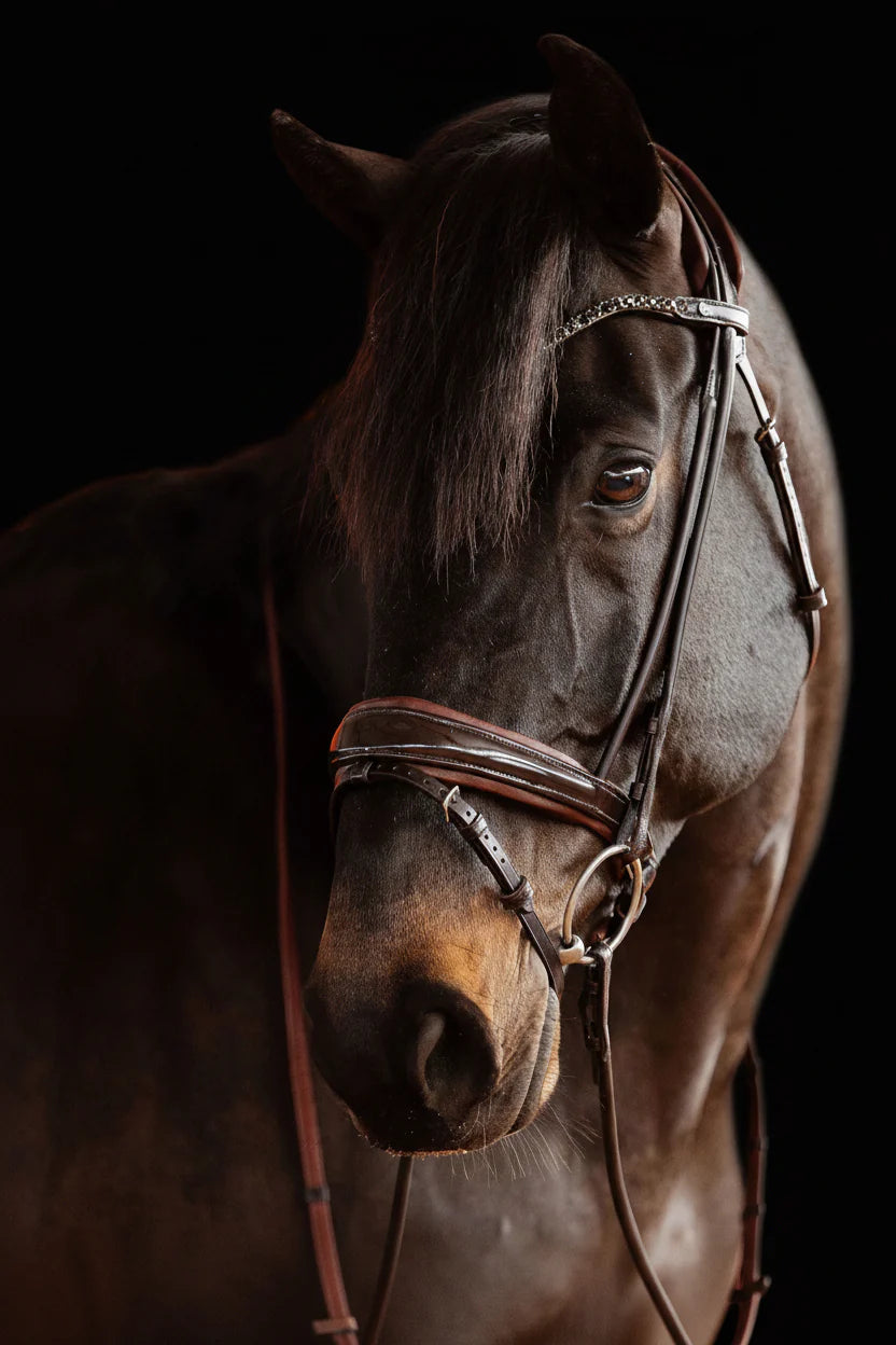 Bridle Rolled-Stitched – Patent Brown | No. 104