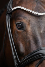 Bridle Rolled-Stitched – Matte Black Crystal | No. 105