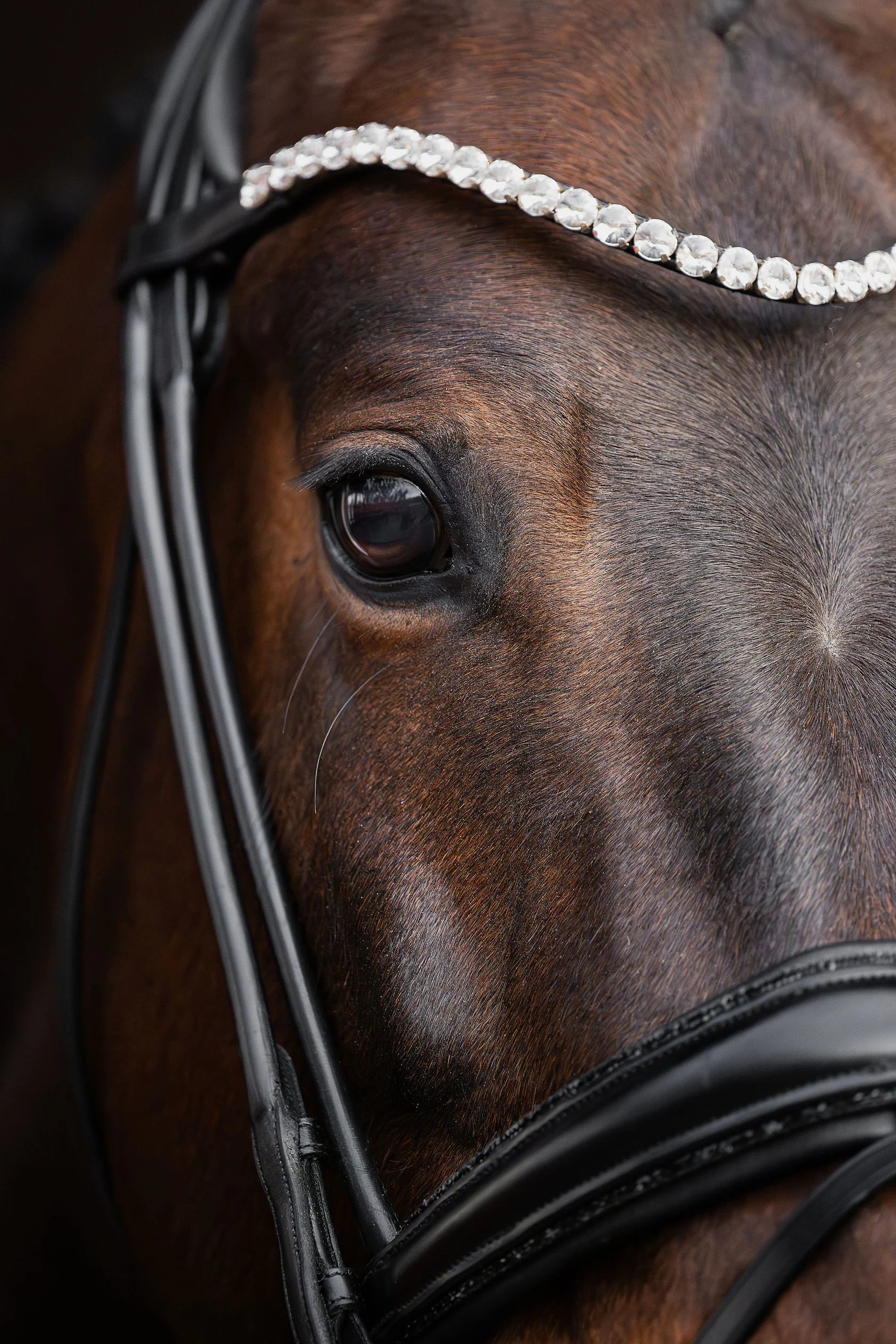 Bridle Rolled-Stitched – Matte Black Crystal | No. 105