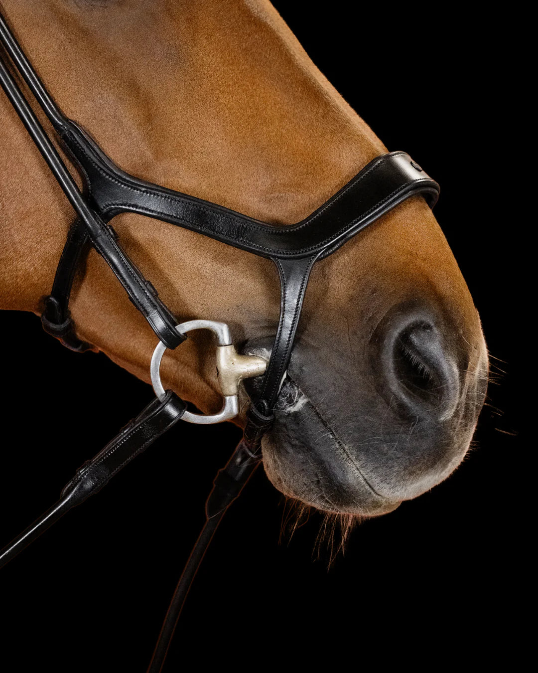 Remont Bridle (Drop Noseband) - Matte Black | No. 109
