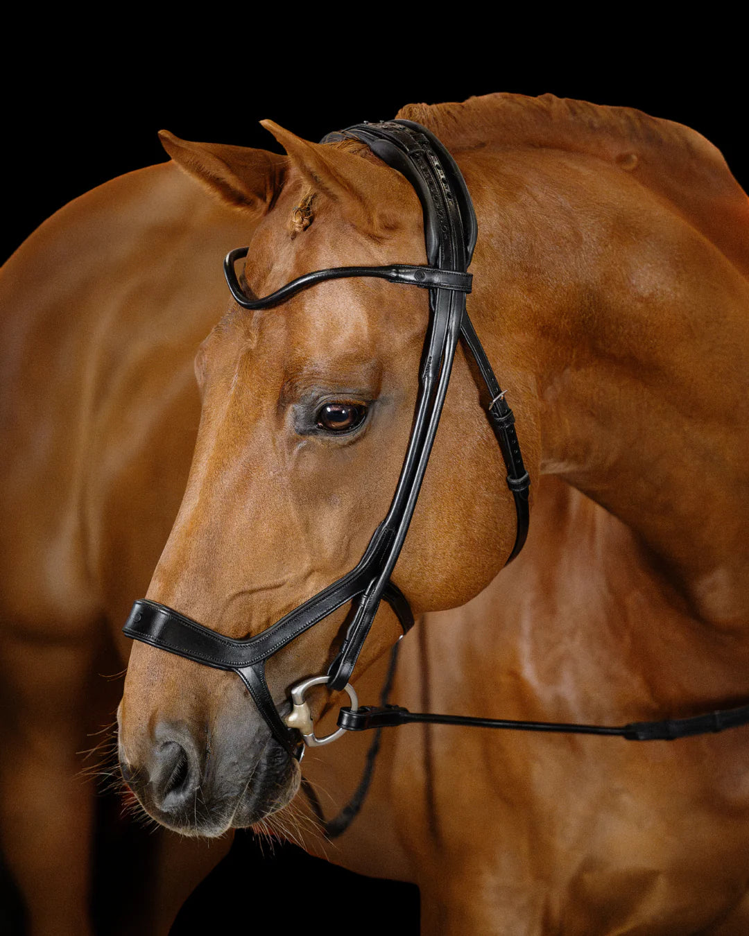 Remont Bridle (Drop Noseband) - Matte Black | No. 109