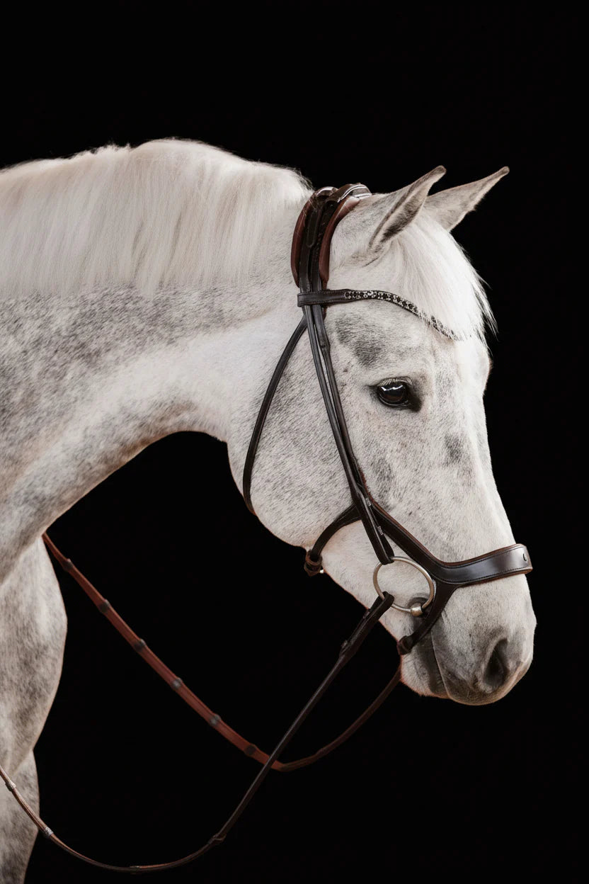 Remont Bridle (Drop Noseband) - Matte Brown | No. 109
